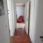 Casa Dos Pinheiros *