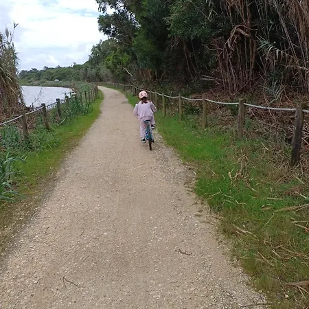 Hébergement de vacances Casa Dos Pinheiros