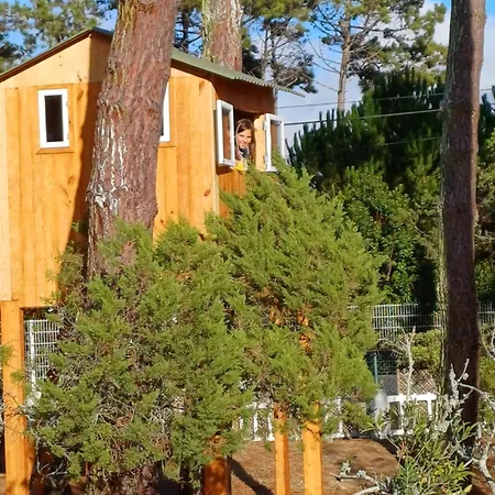 Casa Dos Pinheiros 度假居 *