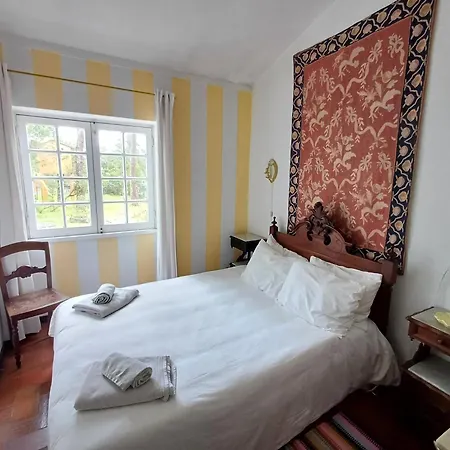 Casa Dos Pinheiros בית נופש Casal do Narcizo