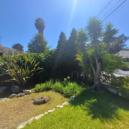 Casa Dos Pinheiros 度假居