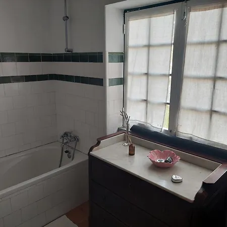 Casa Dos Pinheiros *