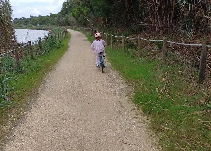 度假居 Casa Dos Pinheiros